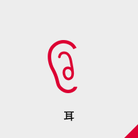 耳