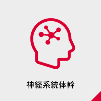 神経系統体幹